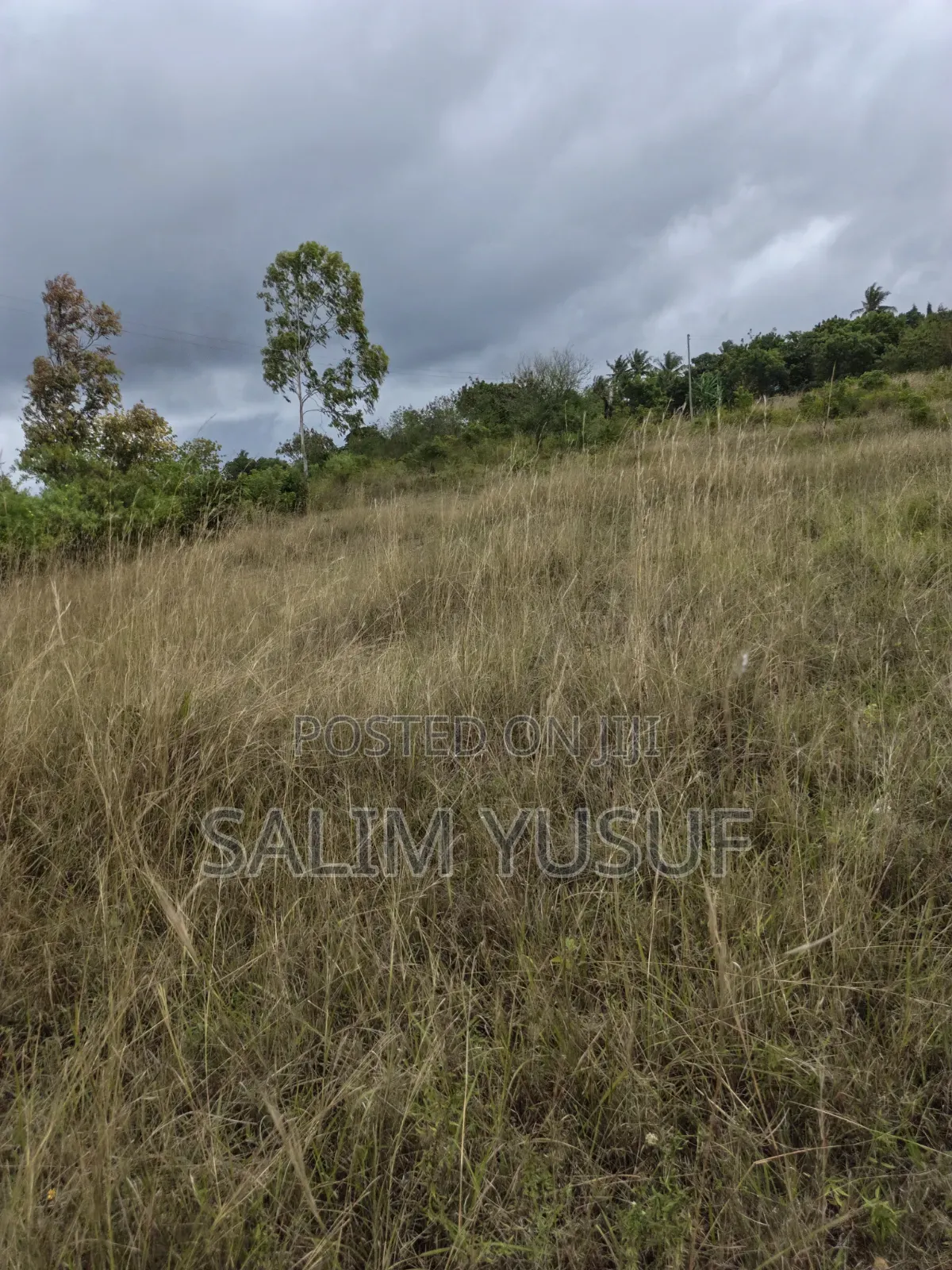 Selling Land Kundutsi 1acre 2,000,000/
