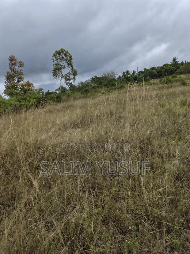 Selling Land Kundutsi 1acre 2,000,000/ - thumbnail 6