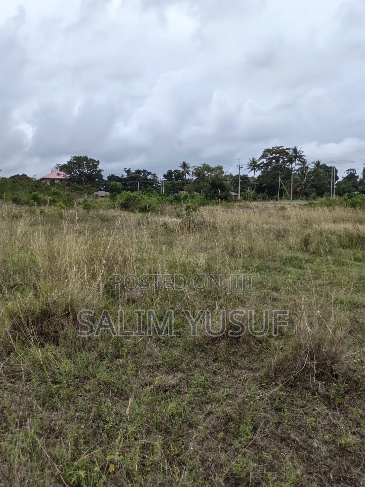 Selling Land Kundutsi 1acre 2,000,000/