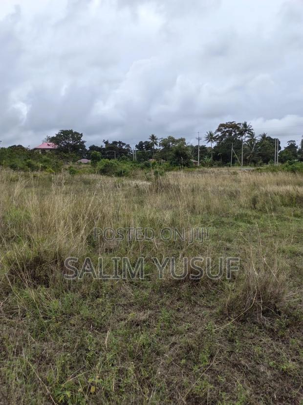 Selling Land Kundutsi 1acre 2,000,000/ - thumbnail 7