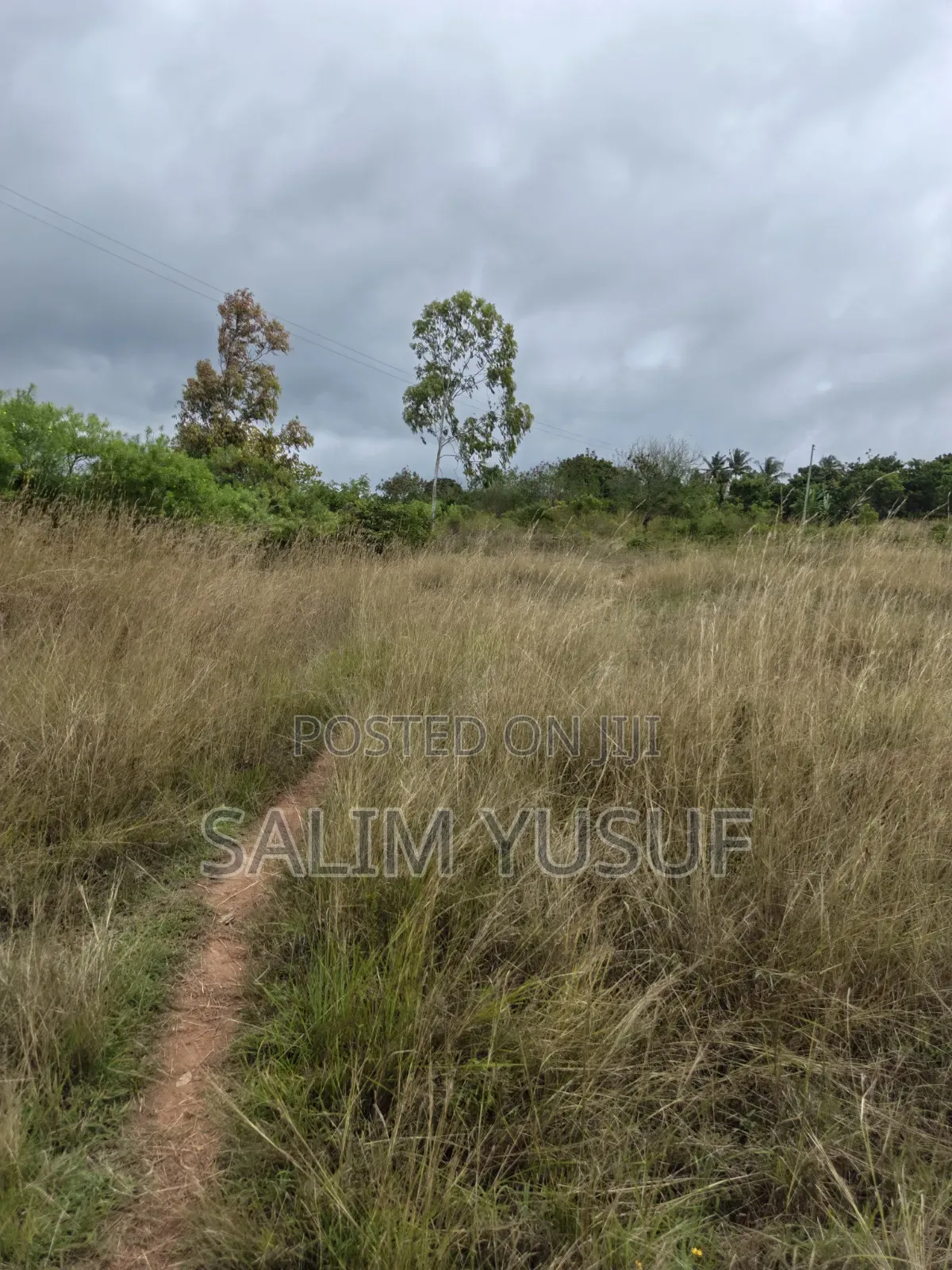 Selling Land Kundutsi 1acre 2,000,000/