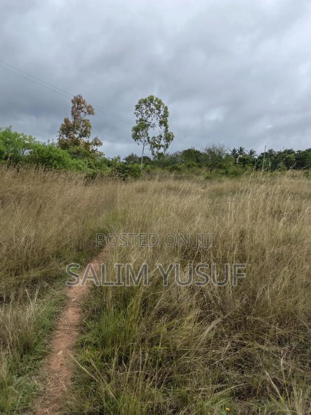 Selling Land Kundutsi 1acre 2,000,000/ - thumbnail 8