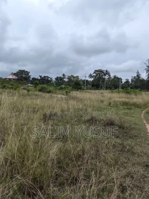 Selling Land Kundutsi 1acre 2,000,000/