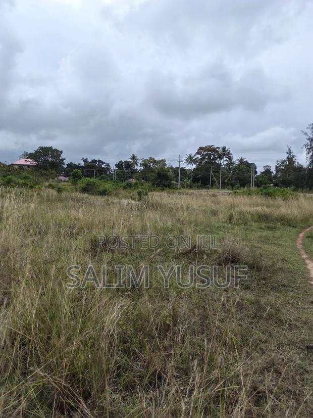 Selling Land Kundutsi 1acre 2,000,000/ - thumbnail 3