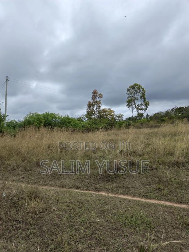 Selling Land Kundutsi 1acre 2,000,000/ - thumbnail 10