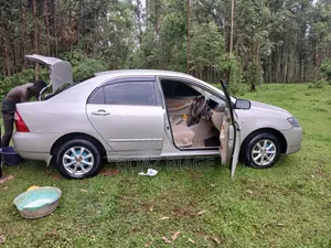 Toyota Corolla 2005 Silver