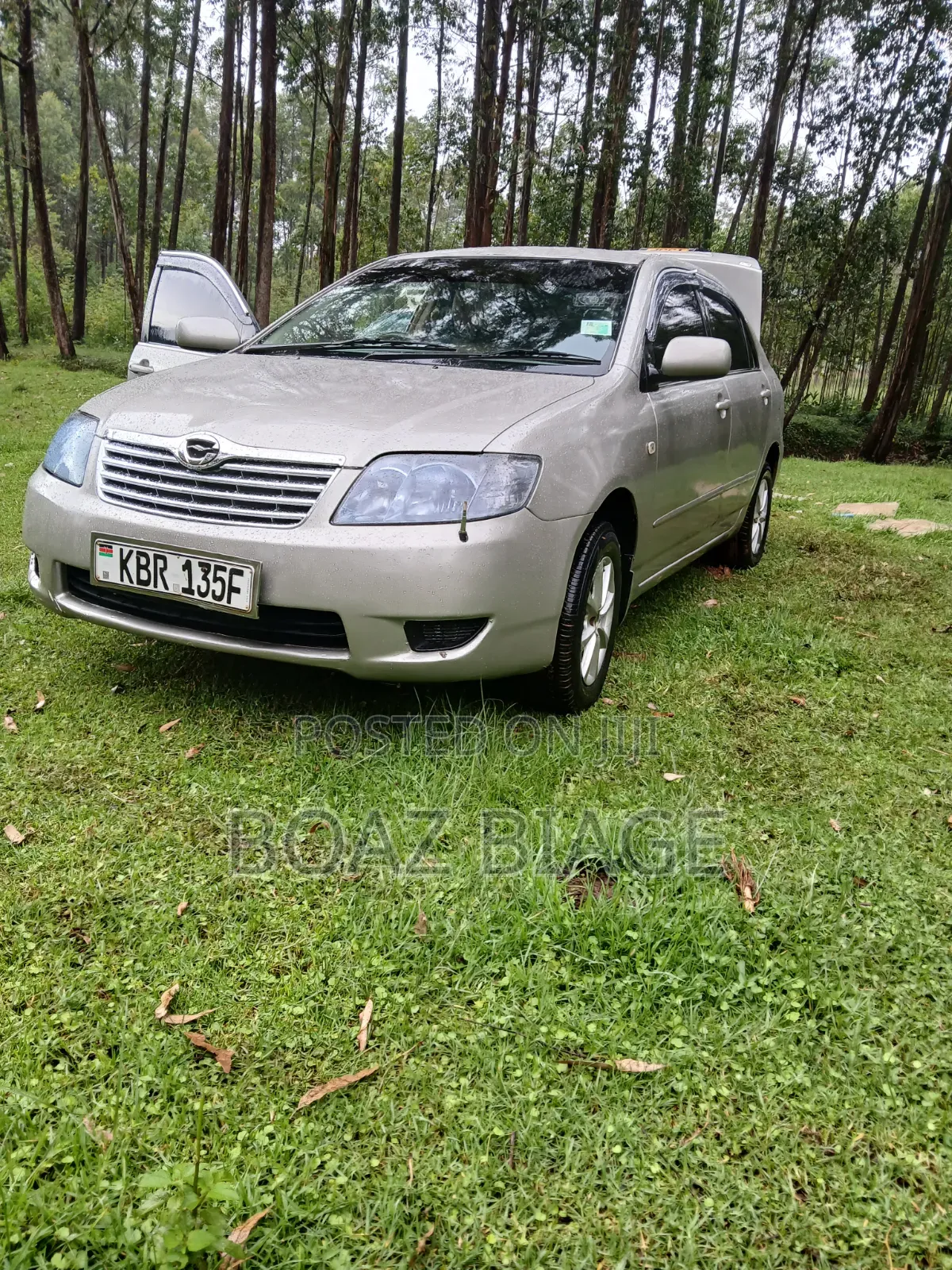 Toyota Corolla 2005 Silver