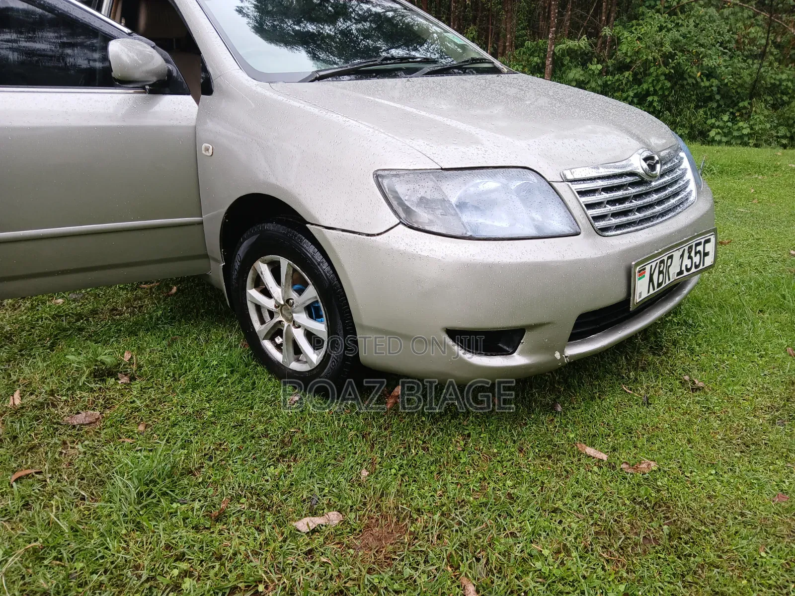Toyota Corolla 2005 Silver