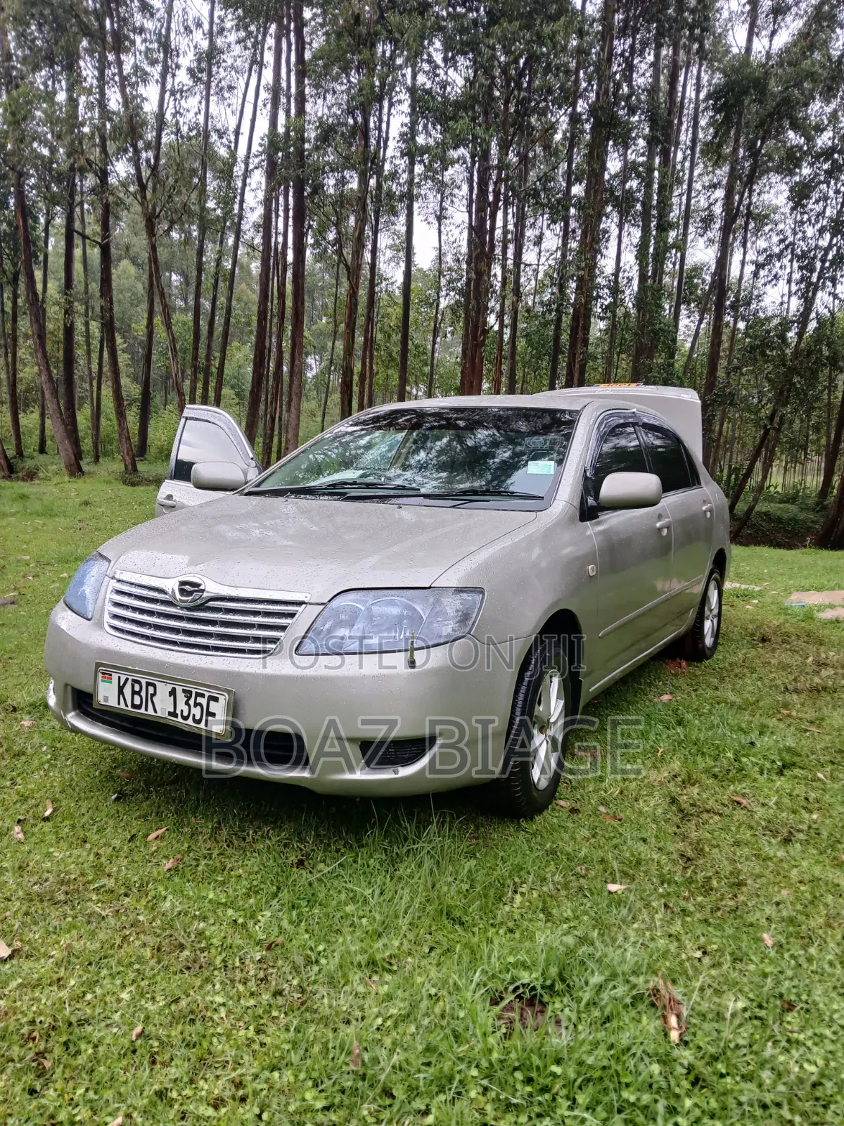 Toyota Corolla 2005 Silver