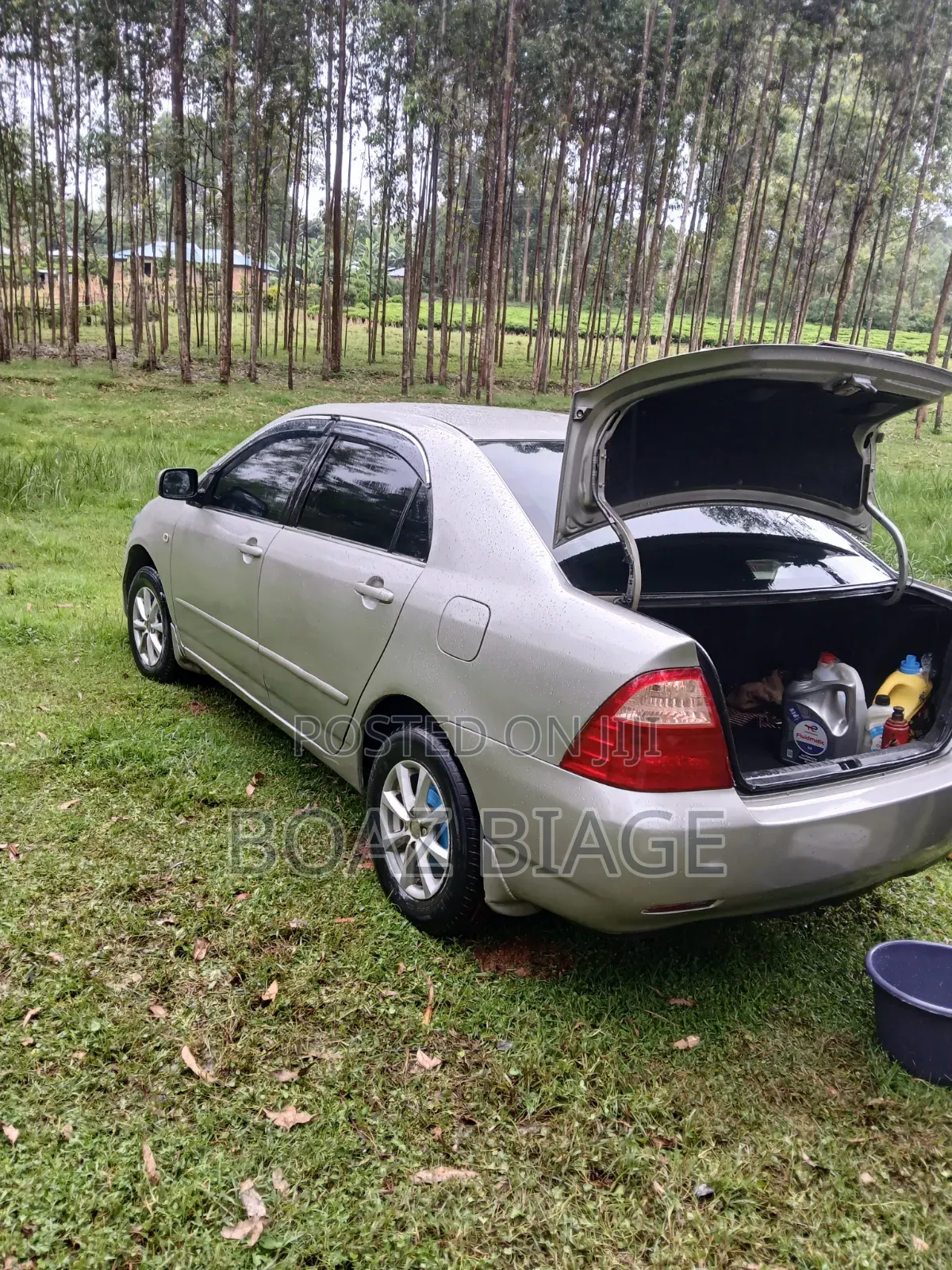 Toyota Corolla 2005 Silver