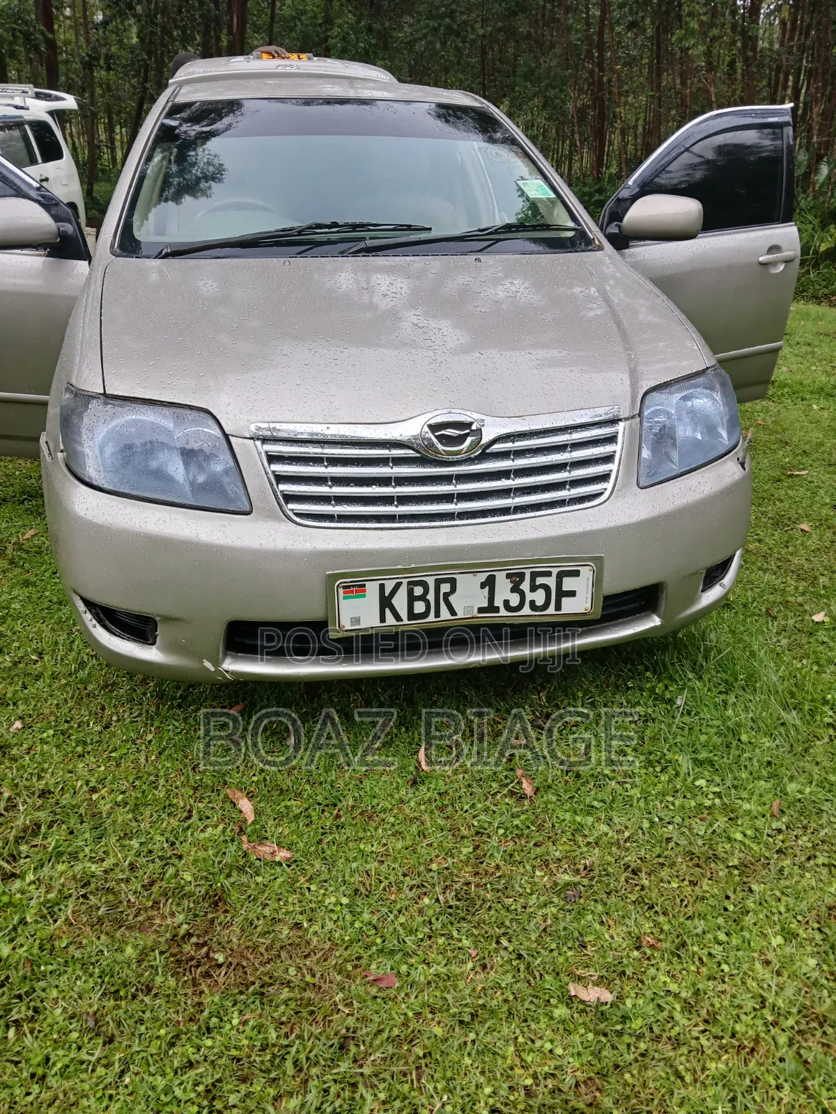 Toyota Corolla 2005 Silver