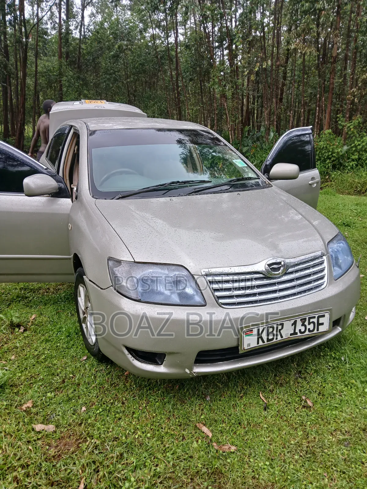 Toyota Corolla 2005 Silver