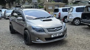 Toyota Corolla Fielder 2010 Burgundy