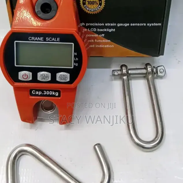 Quality 300kg Crane Scale/ Hanging Scale
