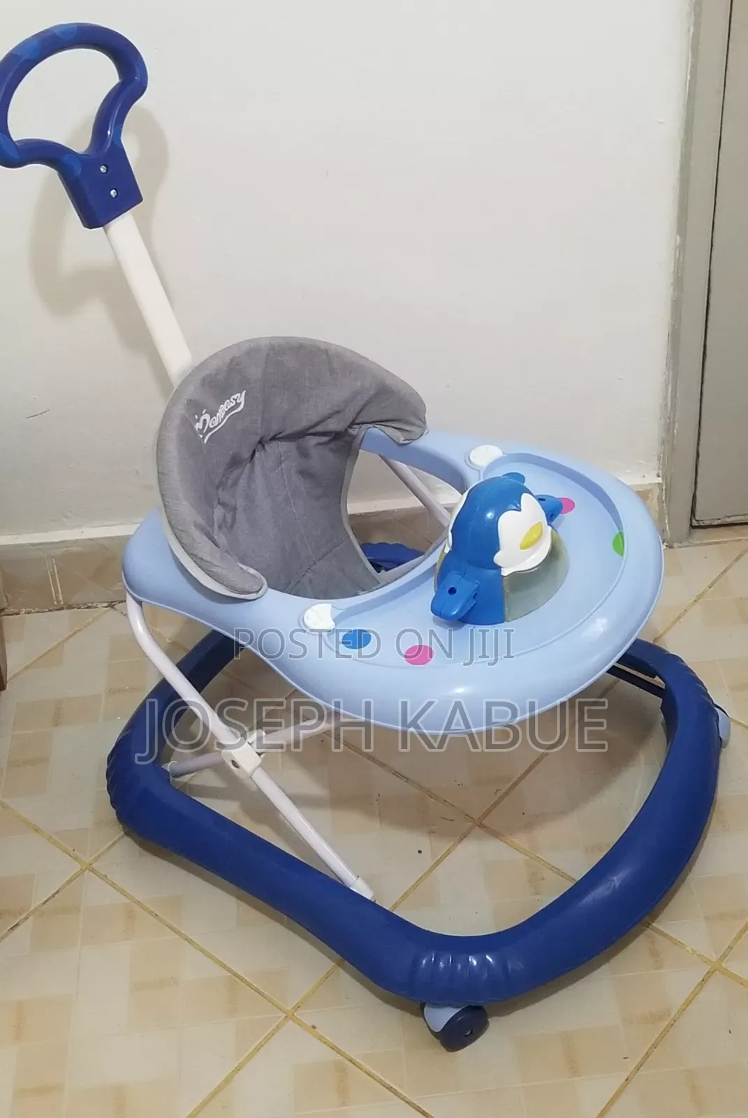 Blue Activity Push Baby