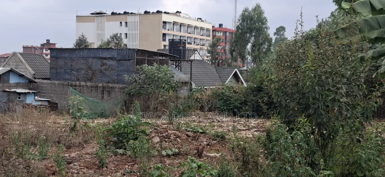 100×100 Ft Plot for Sale – Kabete Gathiga, Kiambu