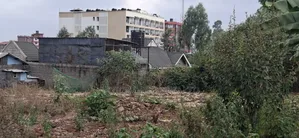 100×100 Ft Plot for Sale – Kabete Gathiga, Kiambu