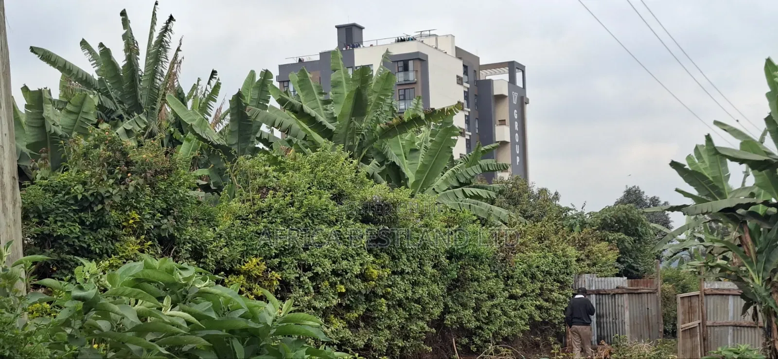 100×100 Ft Plot for Sale – Kabete Gathiga, Kiambu