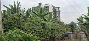 100×100 Ft Plot for Sale – Kabete Gathiga, Kiambu