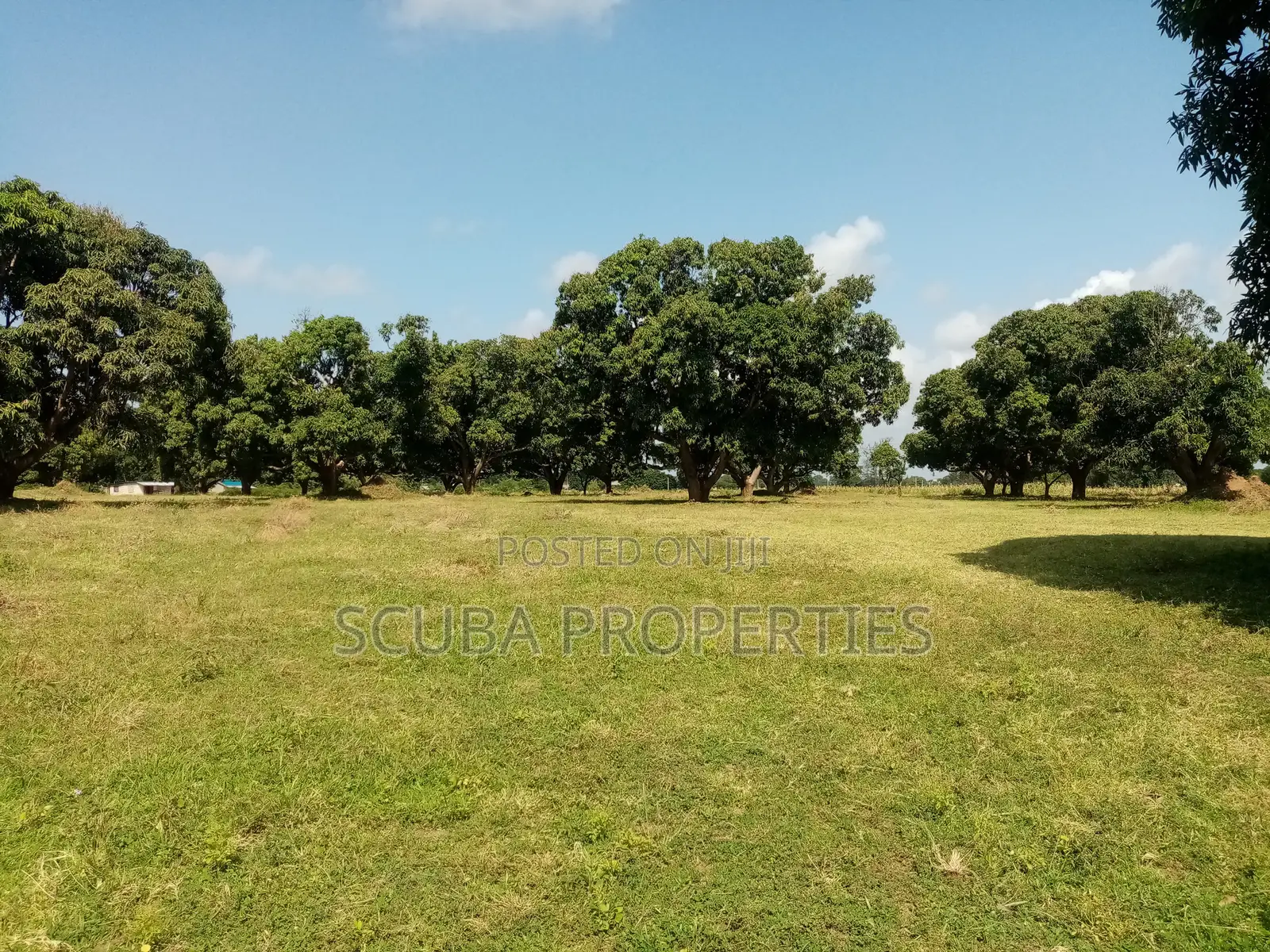 Eighth of an Acre Plot for Sale in Malindi Along Tsavo Road