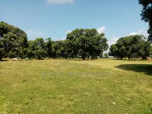 Eighth of an Acre Plot for Sale in Malindi Along Tsavo Road