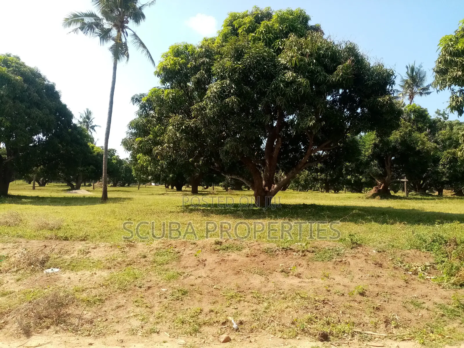 Eighth of an Acre Plot for Sale in Malindi Along Tsavo Road