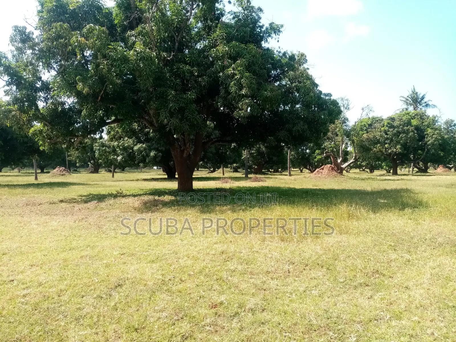 Eighth of an Acre Plot for Sale in Malindi Along Tsavo Road