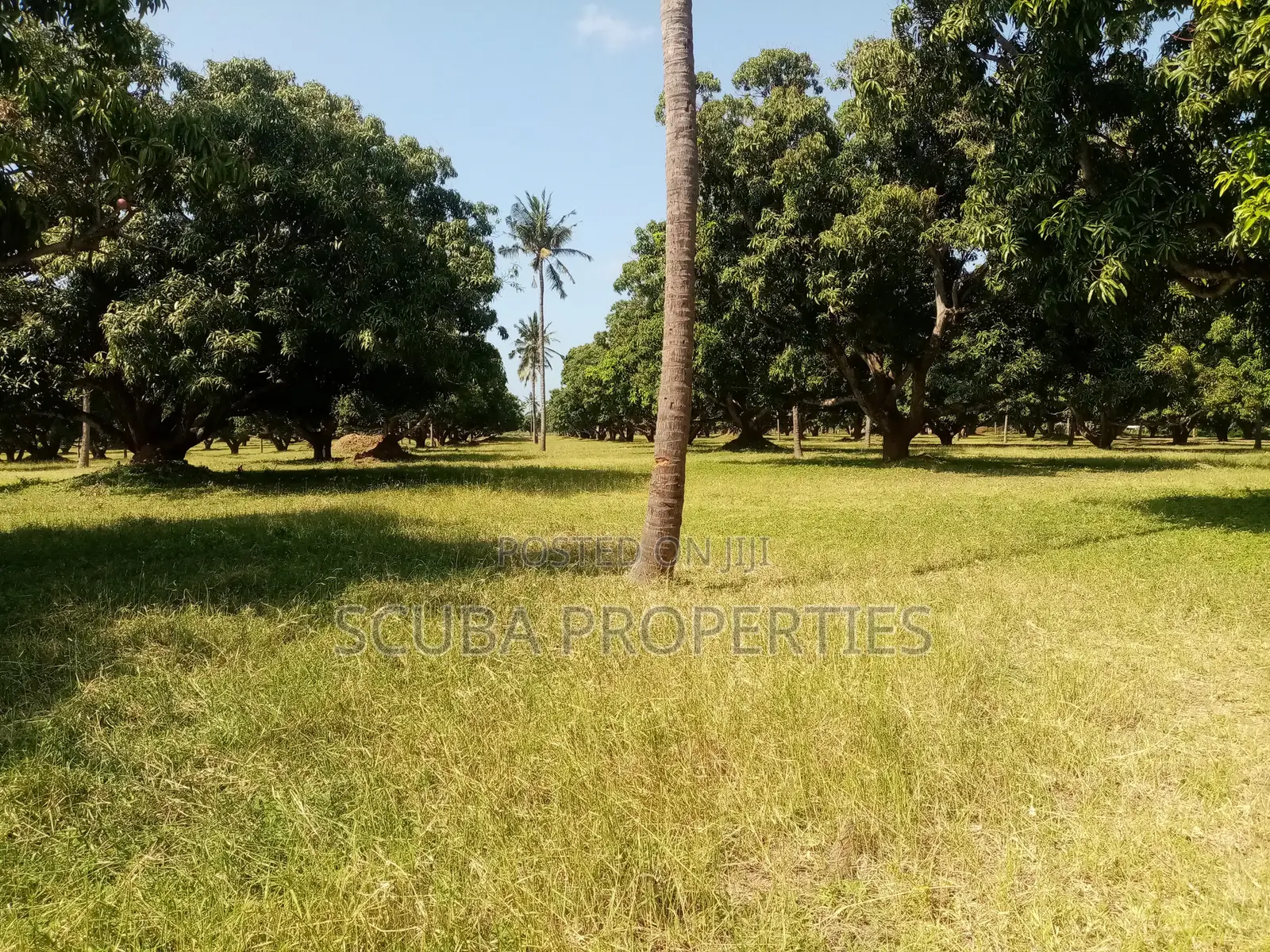 Eighth of an Acre Plot for Sale in Malindi Along Tsavo Road