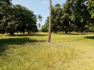 Eighth of an Acre Plot for Sale in Malindi Along Tsavo Road