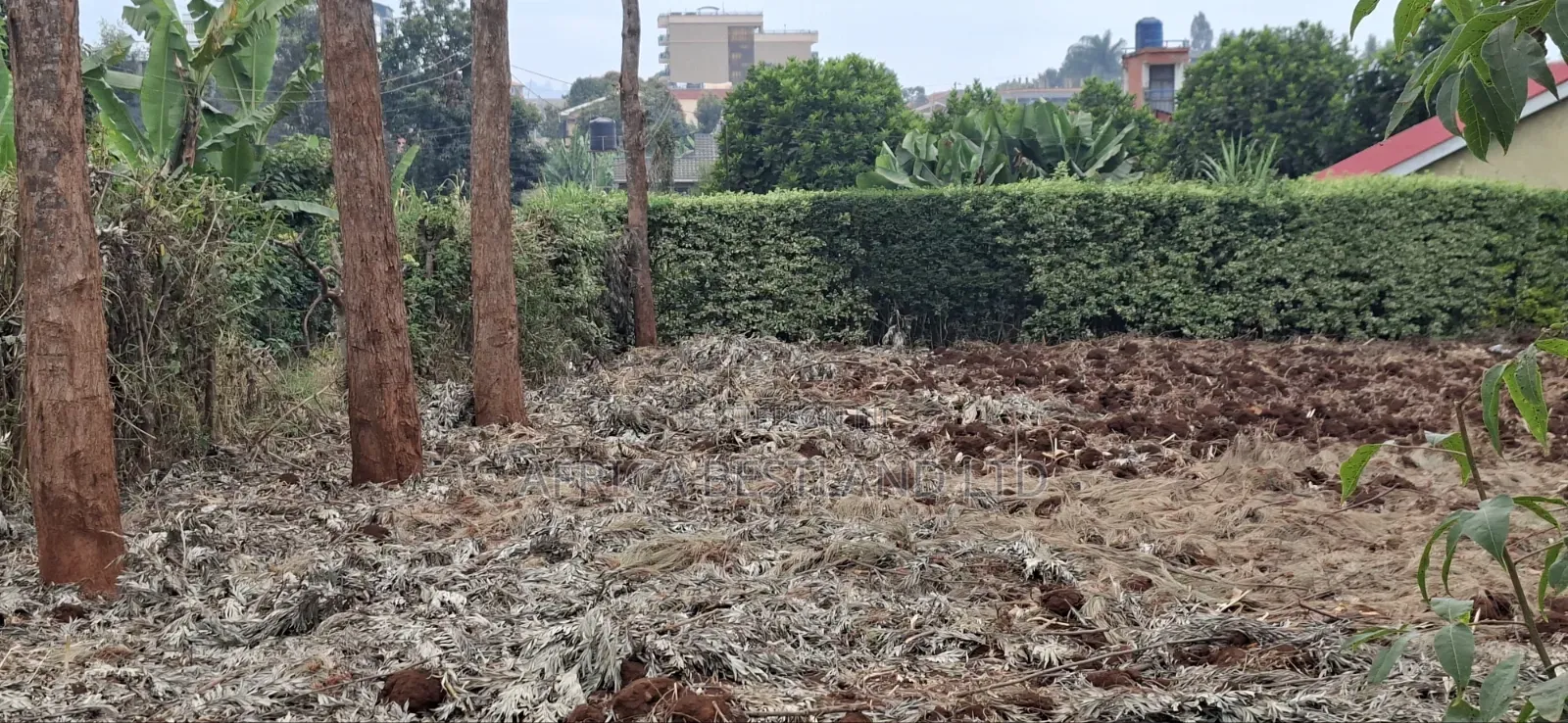 50×100 Ft Plot for Sale – Kabete Gathiga, Kiambu