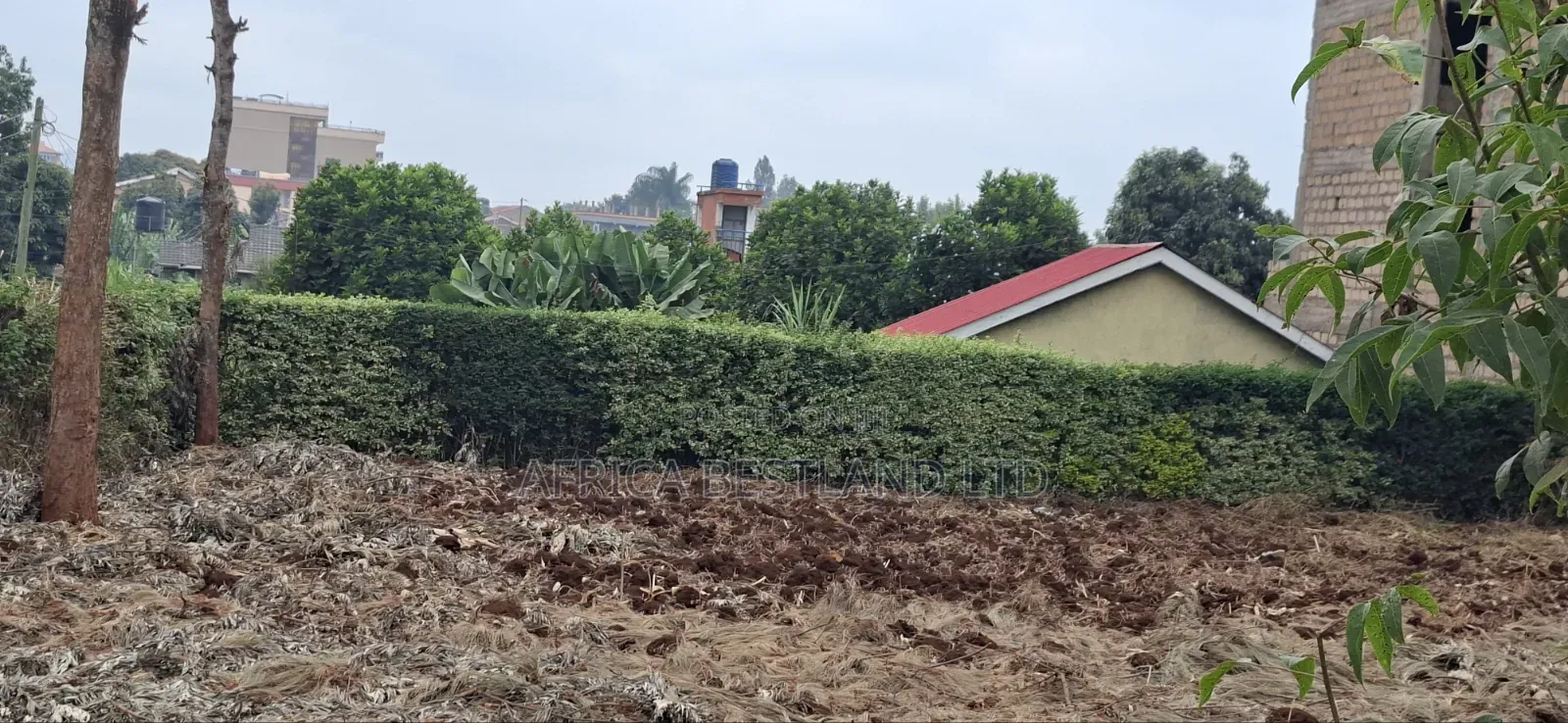 50×100 Ft Plot for Sale – Kabete Gathiga, Kiambu