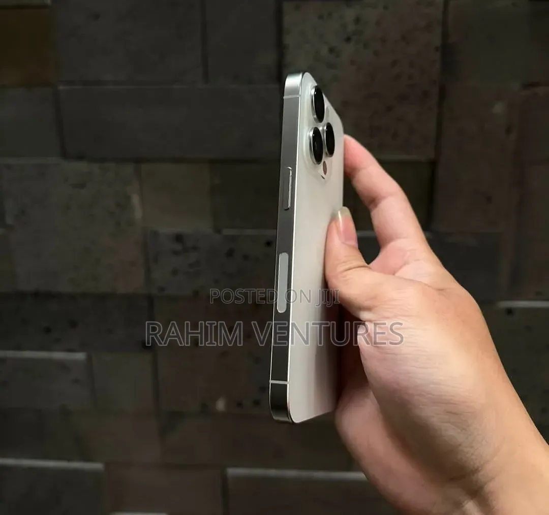 Apple iPhone 15 Pro 256 GB Silver
