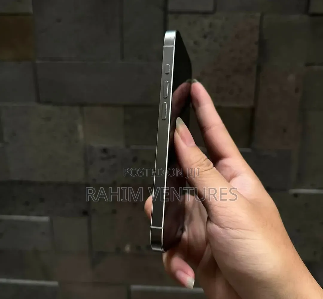 Apple iPhone 15 Pro 256 GB Silver