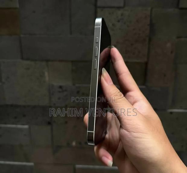 Apple iPhone 15 Pro 256 GB Silver - thumbnail 3