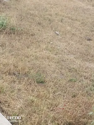 Kamulu a Place Called EKA TANO Area ,3.5 5 Acres for Subdivision Etc