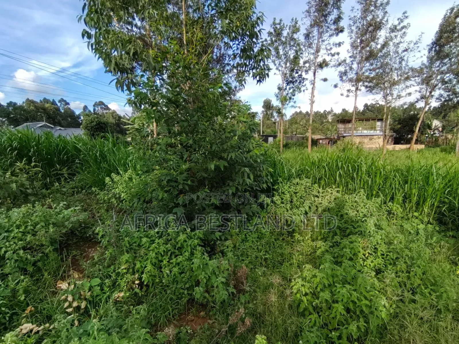 31⁄8 Acres for Sale – Kikuyu Gikambura Prime Land Touching 15M