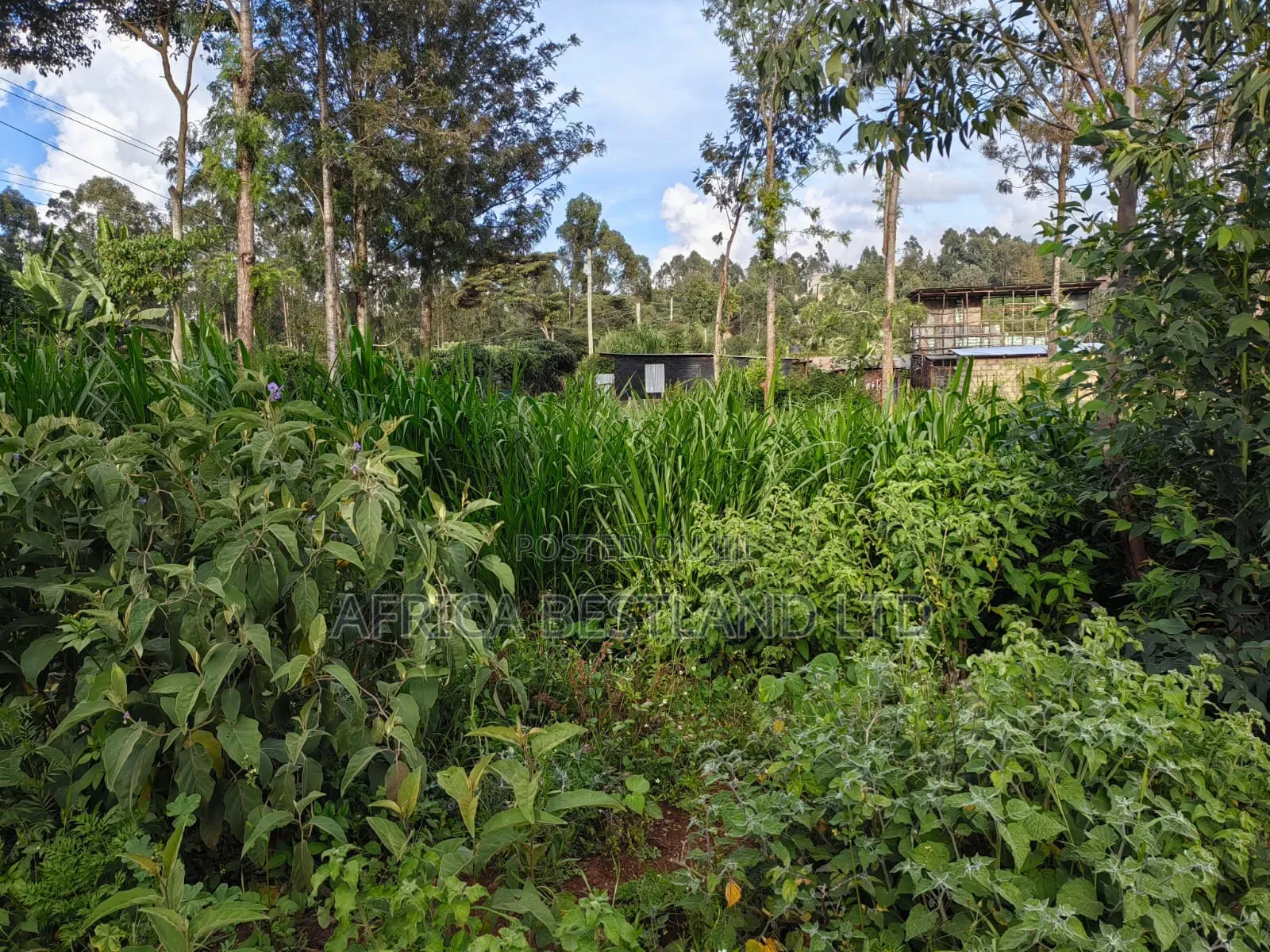 31⁄8 Acres for Sale – Kikuyu Gikambura Prime Land Touching 15M