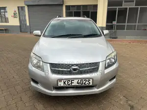 Toyota Corolla Fielder 2009 Silver