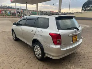 Toyota Corolla Fielder 2009 Silver