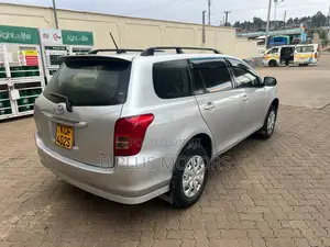 Toyota Corolla Fielder 2009 Silver