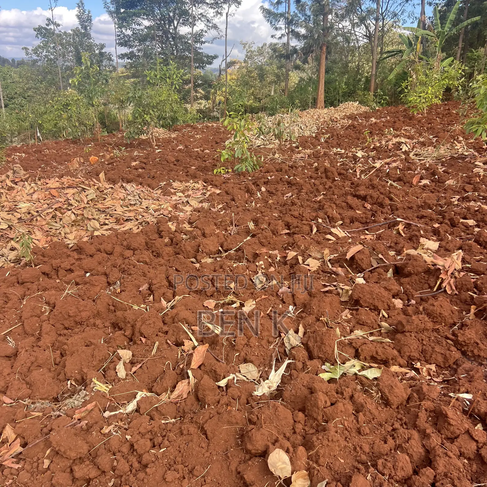 Land for Sale in Mbombo Area, Maragua