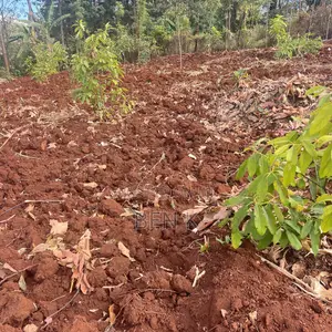 Land for Sale in Mbombo Area, Maragua