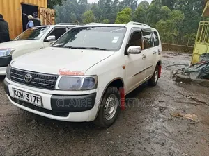 Toyota Probox 2010 White