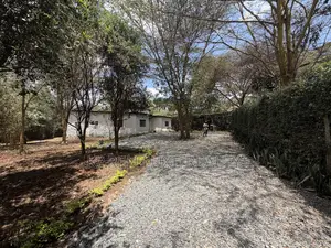 4bdrm Bungalow in Karen for rent
