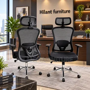 Ergonomic Executive Mesh Office Chair With Headrest