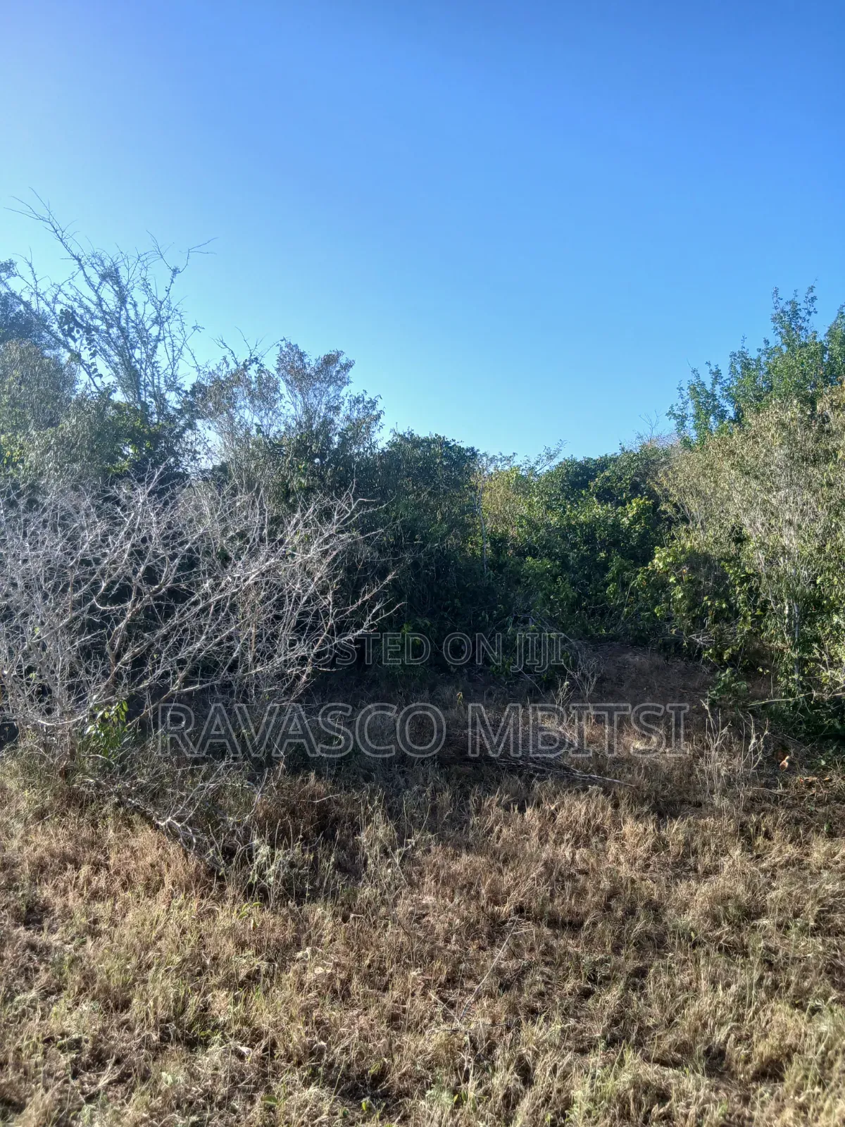 12 Acres Forsale in Malindi Marafa Matopeni Good for Farming