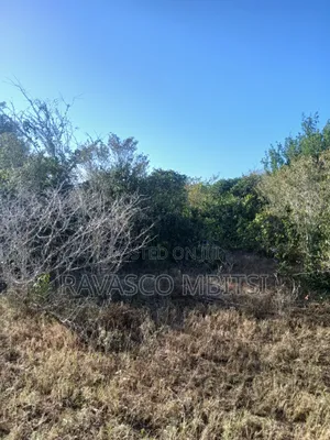 12 Acres Forsale in Malindi Marafa Matopeni Good for Farming