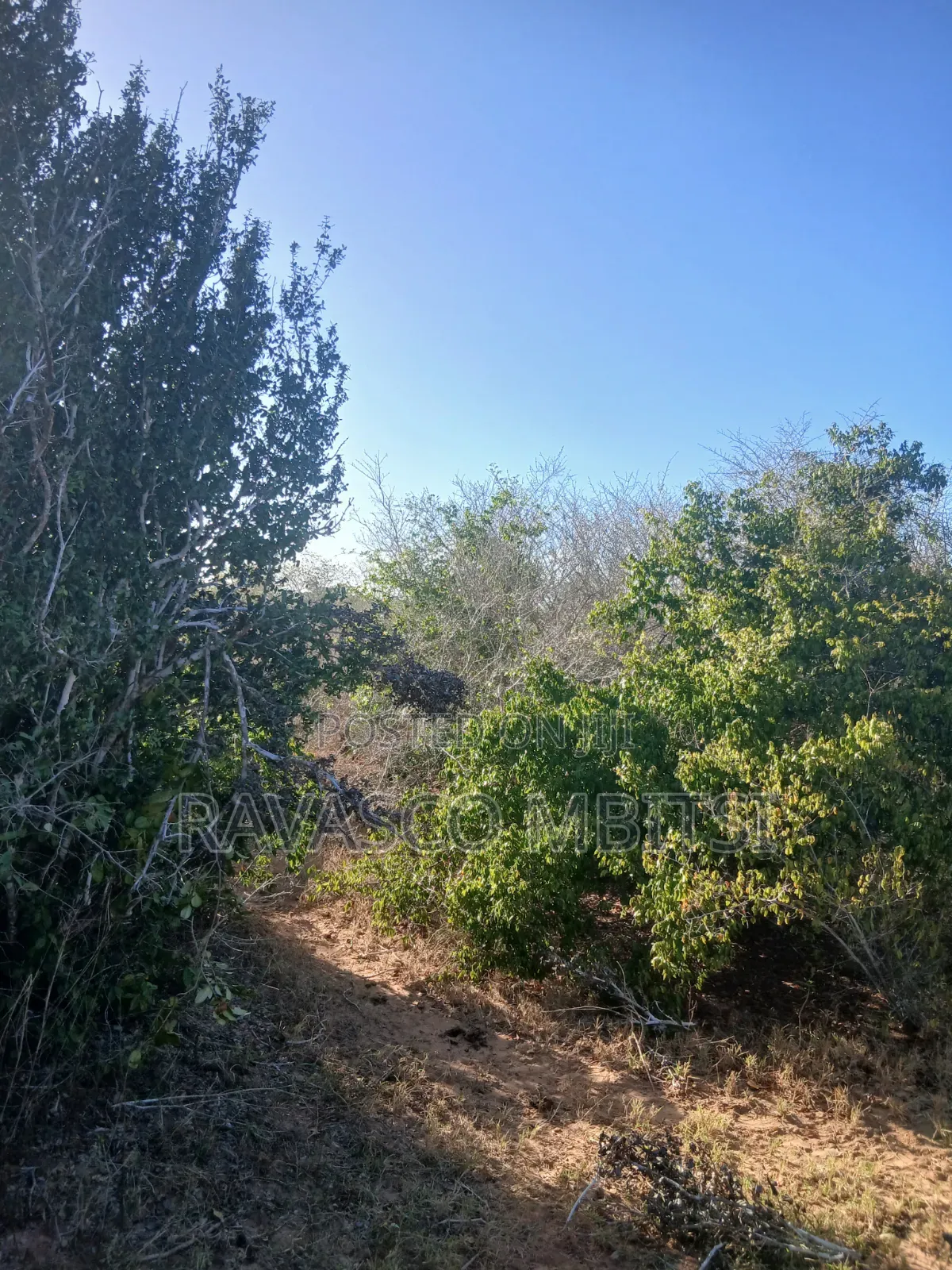 12 Acres Forsale in Malindi Marafa Matopeni Good for Farming