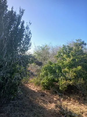 12 Acres Forsale in Malindi Marafa Matopeni Good for Farming