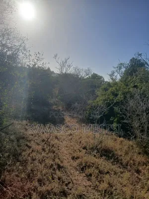 12 Acres Forsale in Malindi Marafa Matopeni Good for Farming